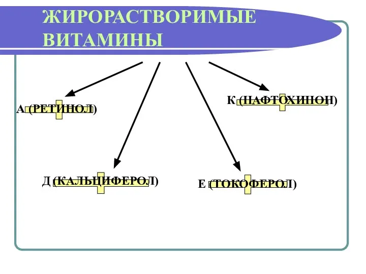 ЖИРОРАСТВОРИМЫЕ ВИТАМИНЫ А (РЕТИНОЛ) Д (КАЛЬЦИФЕРОЛ) К (НАФТОХИНОН) Е (ТОКОФЕРОЛ)