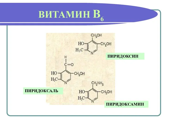 ВИТАМИН В6 ПИРИДОКСИН ПИРИДОКСАМИН ПИРИДОКСАЛЬ
