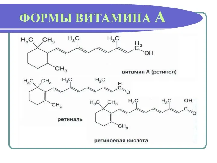 ФОРМЫ ВИТАМИНА А