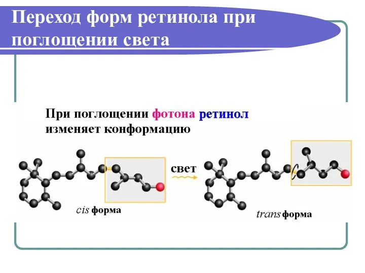 Переход форм ретинола при поглощении света