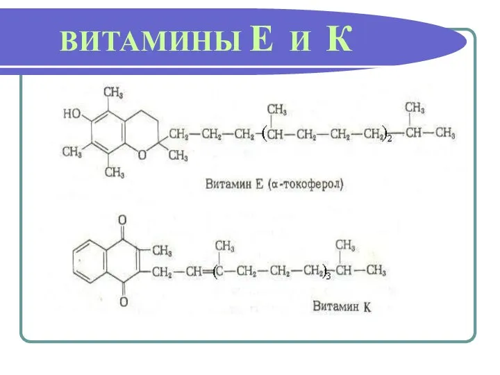 ВИТАМИНЫ Е И К