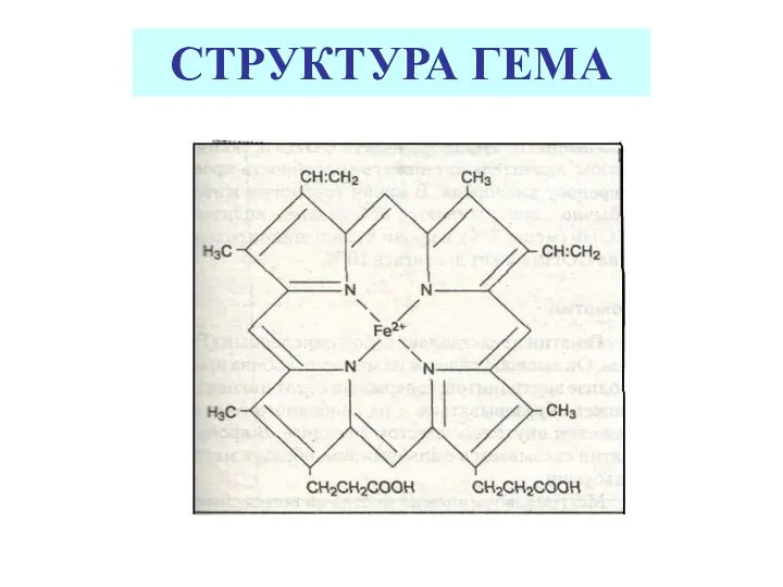 СТРУКТУРА ГЕМА