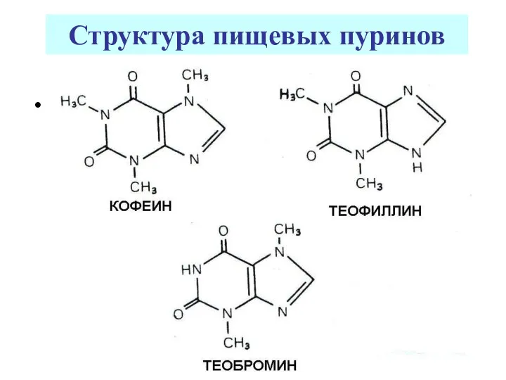 Структура пищевых пуринов