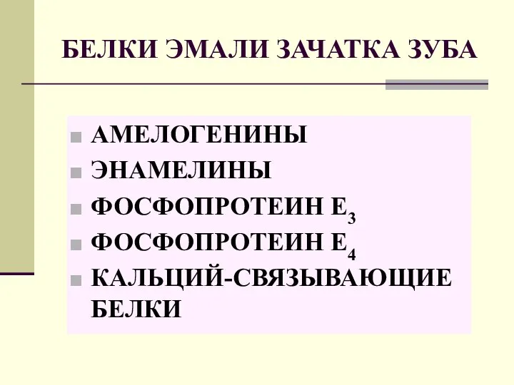 БЕЛКИ ЭМАЛИ ЗАЧАТКА ЗУБА АМЕЛОГЕНИНЫ ЭНАМЕЛИНЫ ФОСФОПРОТЕИН Е3 ФОСФОПРОТЕИН Е4 КАЛЬЦИЙ-СВЯЗЫВАЮЩИЕ БЕЛКИ