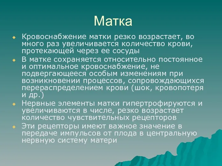 Матка Кровоснабжение матки резко возрастает, во много раз увеличивается количество крови,