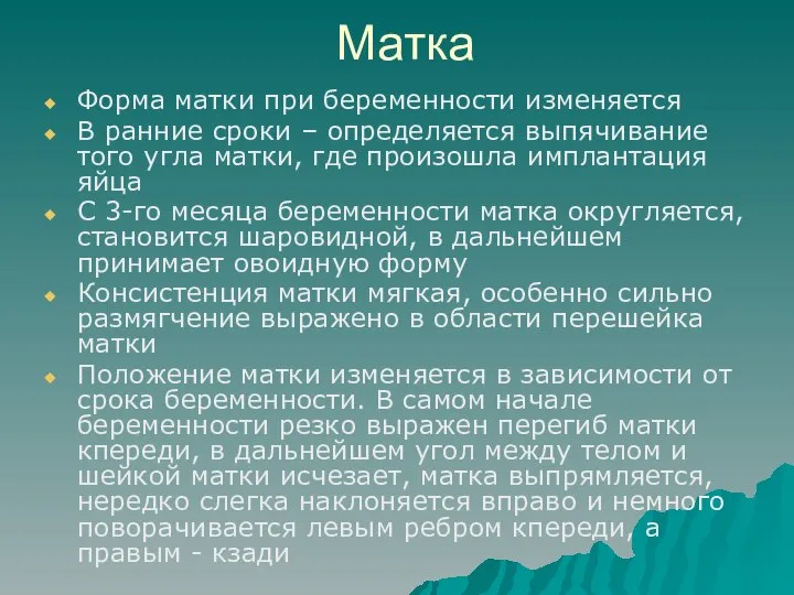 Матка Форма матки при беременности изменяется В ранние сроки – определяется