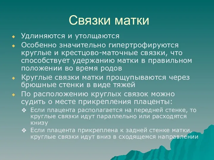 Связки матки Удлиняются и утолщаются Особенно значительно гипертрофируются круглые и крестцово-маточные