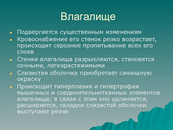 Влагалище Подвергается существенным изменениям Кровоснабжение его стенок резко возрастает, происходит серозное