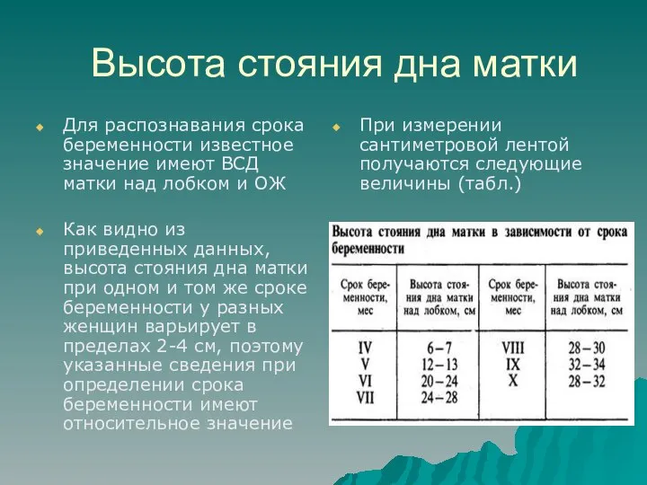 Высота стояния дна матки Для распознавания срока беременности известное значение имеют