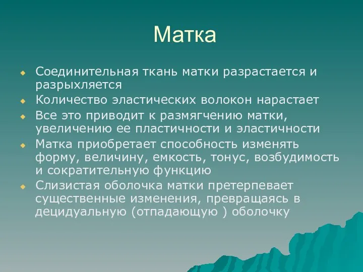 Матка Соединительная ткань матки разрастается и разрыхляется Количество эластических волокон нарастает