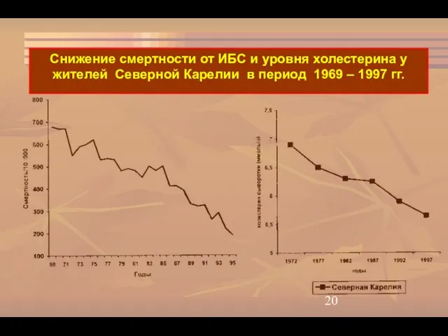 Снижение смертности от ИБС и уровня холестерина у жителей Северной Карелии