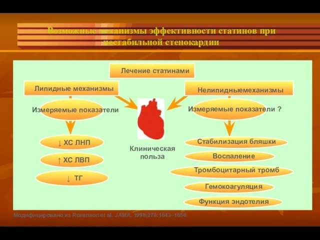 Возможные механизмы эффективности статинов при нестабильной стенокардии Липидные механизмы Лечение статинами