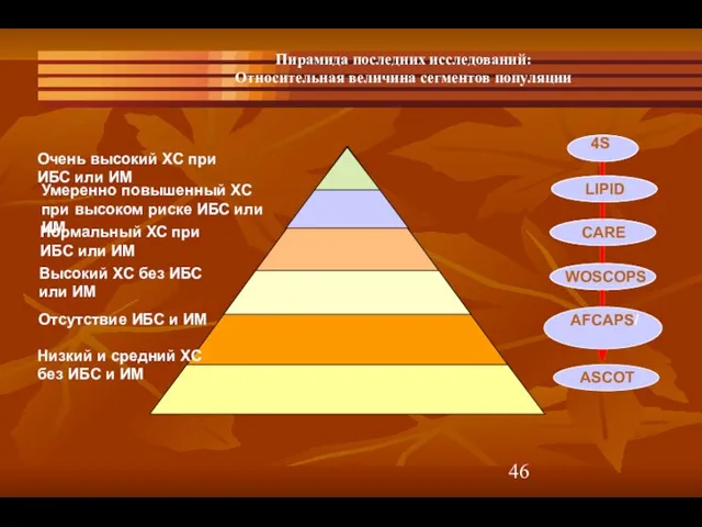 Пирамида последних исследований: Относительная величина сегментов популяции 4S 4S CARE WOSCOPS