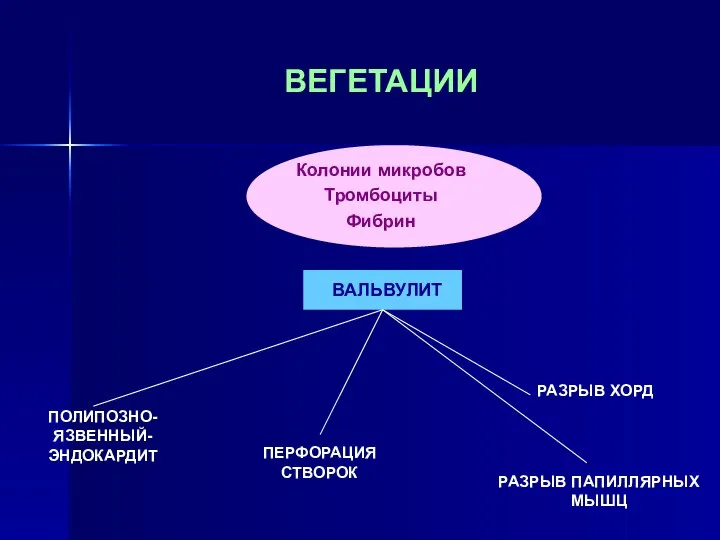 ВЕГЕТАЦИИ Колонии микробов Тромбоциты Фибрин ВАЛЬВУЛИТ ПЕРФОРАЦИЯ СТВОРОК РАЗРЫВ ХОРД РАЗРЫВ ПАПИЛЛЯРНЫХ МЫШЦ ПОЛИПОЗНО-ЯЗВЕННЫЙ- ЭНДОКАРДИТ