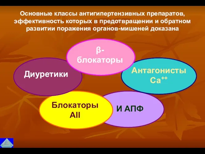 Диуретики Антагонисты Са++ И АПФ β- блокаторы Блокаторы АII Основные классы