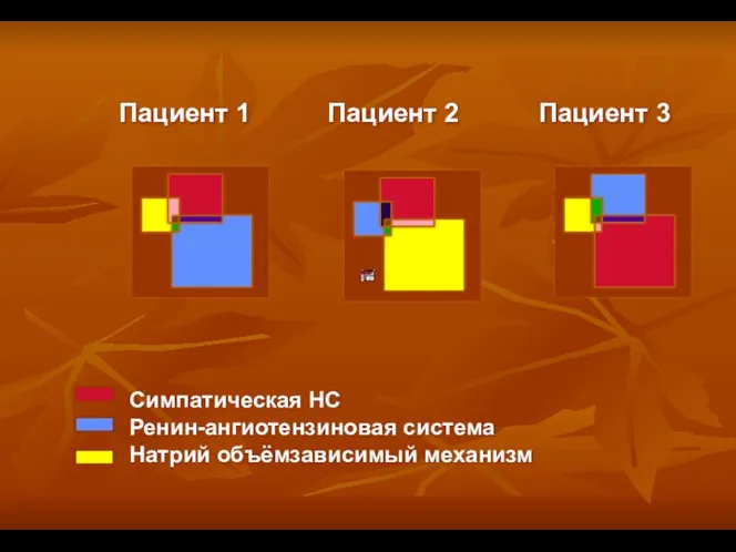 Симпатическая НС Ренин-ангиотензиновая система Натрий объёмзависимый механизм Пациент 1 Пациент 2 Пациент 3