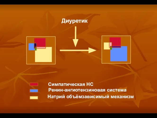 Диуретик Симпатическая НС Ренин-ангиотензиновая система Натрий объёмзависимый механизм