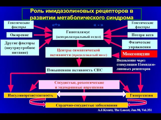 Моксонидин Подавление через стимуляцию I1имидазо- линовых рецепторов Повышенная активность СНС A.J.Krentz,