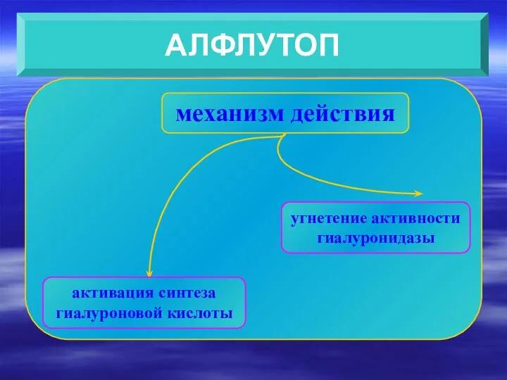 активация синтеза гиалуроновой кислоты угнетение активности гиалуронидазы механизм действия АЛФЛУТОП