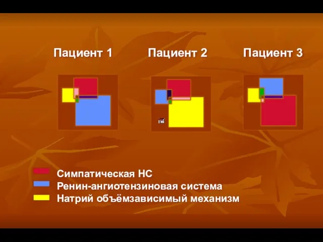 Симпатическая НС Ренин-ангиотензиновая система Натрий объёмзависимый механизм Пациент 1 Пациент 2 Пациент 3