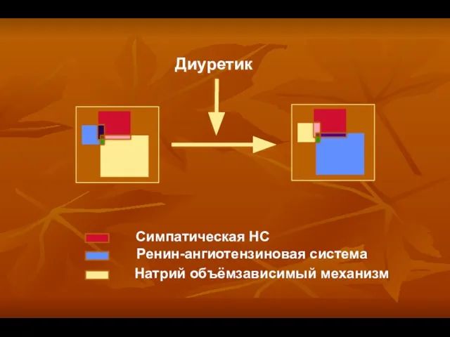 Диуретик Симпатическая НС Ренин-ангиотензиновая система Натрий объёмзависимый механизм