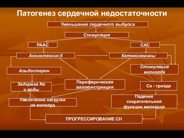 Уменьшение сердечного выброса Стимуляция РААС САС Патогенез сердечной недостаточности Ангиотензин II