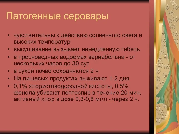 Патогенные серовары чувствительны к действию солнечного света и высоких температур высушивание