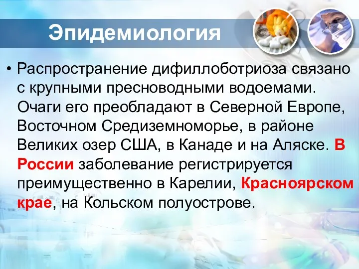 Эпидемиология Распространение дифиллоботриоза связано с крупными пресноводными водоемами. Очаги его преобладают