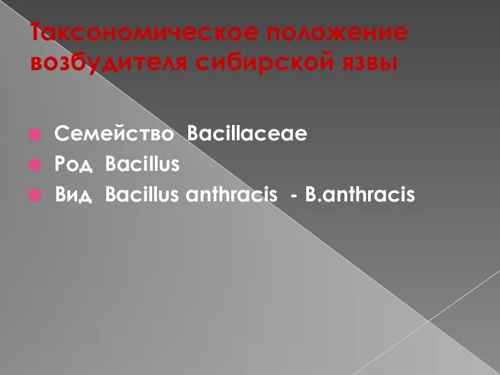 Таксономическое положение возбудителя сибирской язвы Семейство Bacillaceae Род Bacillus Вид Bacillus anthracis - B.anthracis