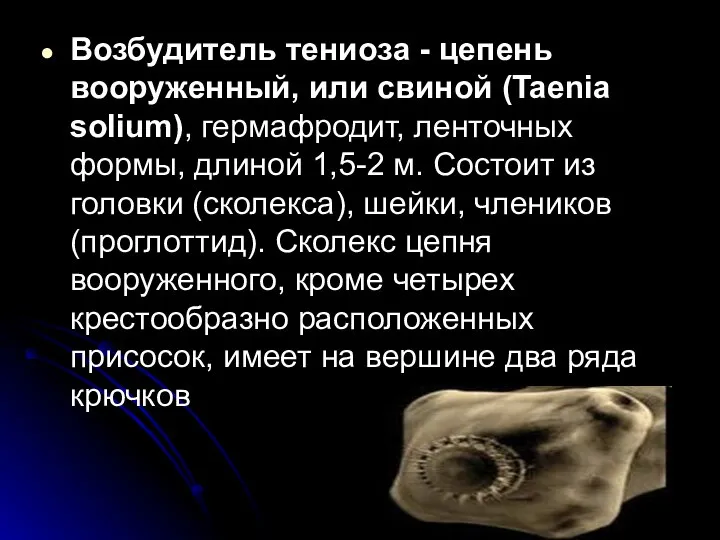 Возбудитель тениоза - цепень вооруженный, или свиной (Taenia solium), гермафродит, ленточных