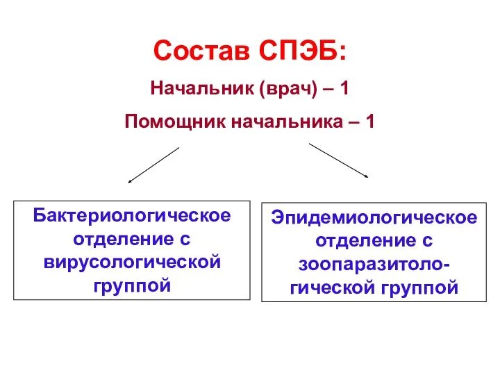 Состав СПЭБ: Начальник (врач) – 1 Помощник начальника – 1 Бактериологическое