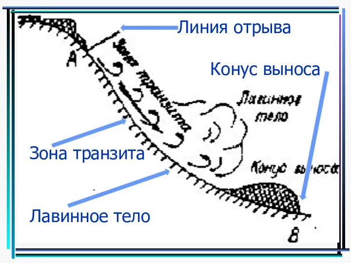 Линия отрыва Конус выноса Зона транзита Лавинное тело