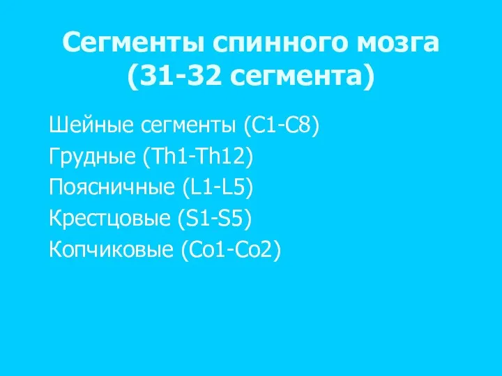 Сегменты спинного мозга (31-32 сегмента) Шейные сегменты (C1-C8) Грудные (Th1-Th12) Поясничные (L1-L5) Крестцовые (S1-S5) Копчиковые (Co1-Co2)