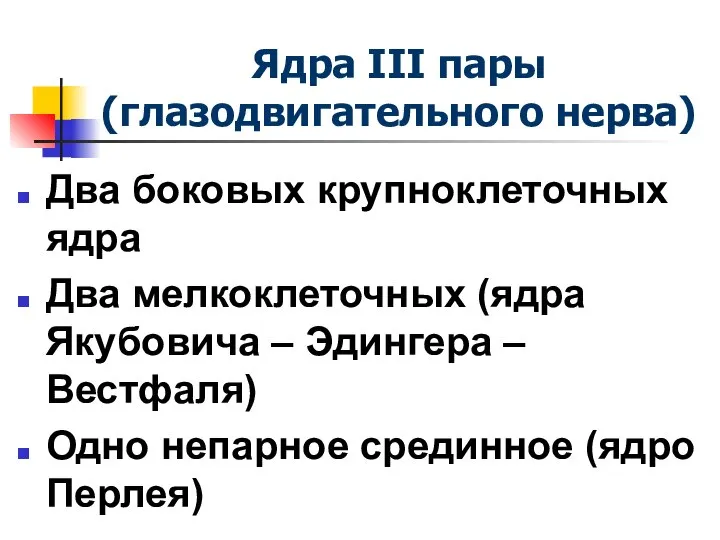 Ядра III пары (глазодвигательного нерва) Два боковых крупноклеточных ядра Два мелкоклеточных