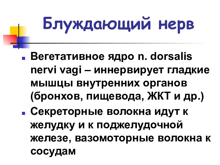 Блуждающий нерв Вегетативное ядро n. dorsalis nervi vagi – иннервирует гладкие