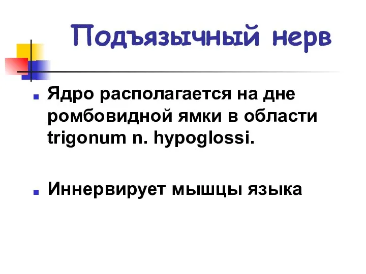 Подъязычный нерв Ядро располагается на дне ромбовидной ямки в области trigonum n. hypoglossi. Иннервирует мышцы языка