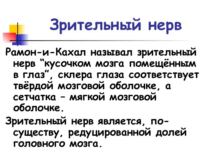 Зрительный нерв Рамон-и-Кахал называл зрительный нерв “кусочком мозга помещённым в глаз”,