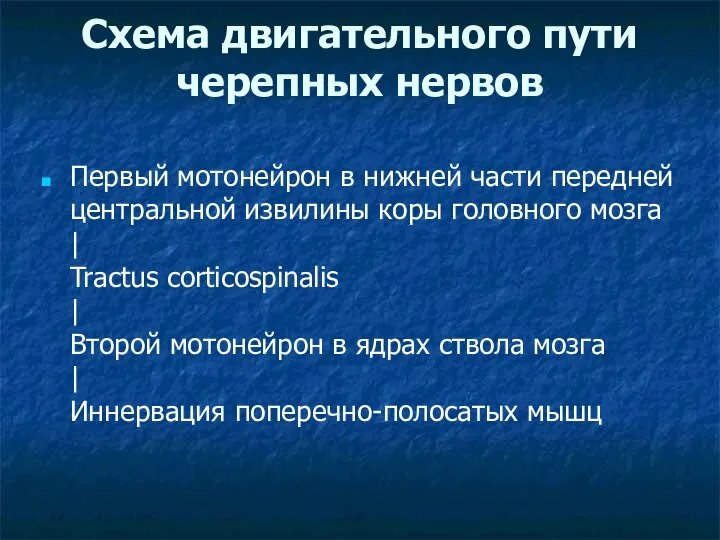 Схема двигательного пути черепных нервов Первый мотонейрон в нижней части передней