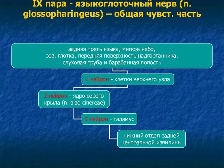 IX пара - языкоглоточный нерв (n. glossopharingeus) – общая чувст. часть