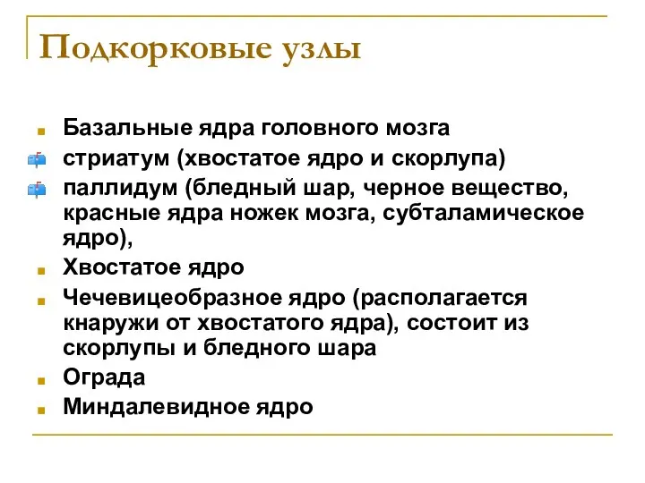 Подкорковые узлы Базальные ядра головного мозга стриатум (хвостатое ядро и скорлупа)