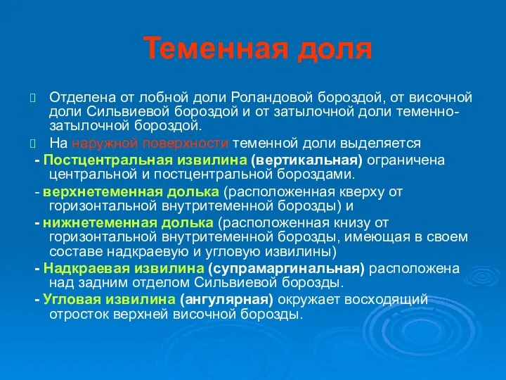 Теменная доля Отделена от лобной доли Роландовой бороздой, от височной доли