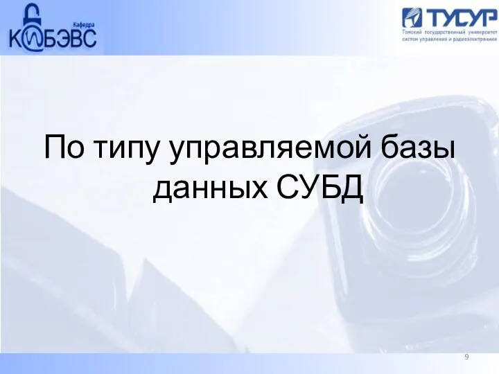 По типу управляемой базы данных СУБД