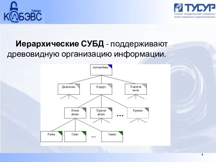 Иерархические СУБД - поддерживают древовидную организацию информации. 4