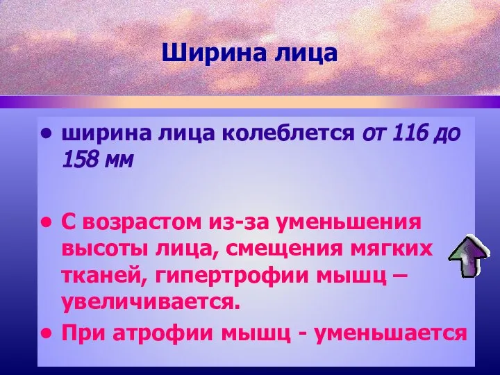 ширина лица колеблется от 116 до 158 мм С возрастом из-за