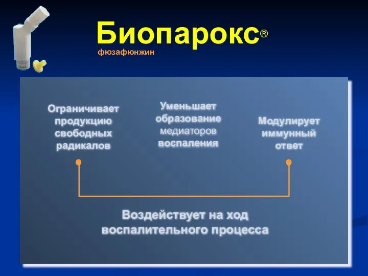 Модулирует иммунный ответ Ограничивает продукцию свободных радикалов Воздействует на ход воспалительного процесса Уменьшает образование медиаторов воспаления