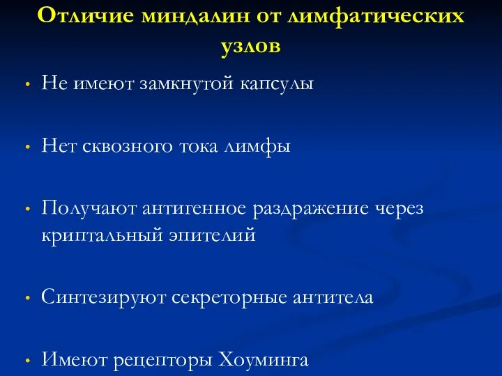 Отличие миндалин от лимфатических узлов Не имеют замкнутой капсулы Нет сквозного