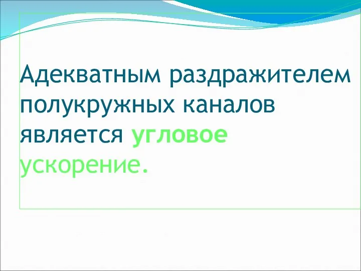 Адекватным раздражителем полукружных каналов является угловое ускорение.