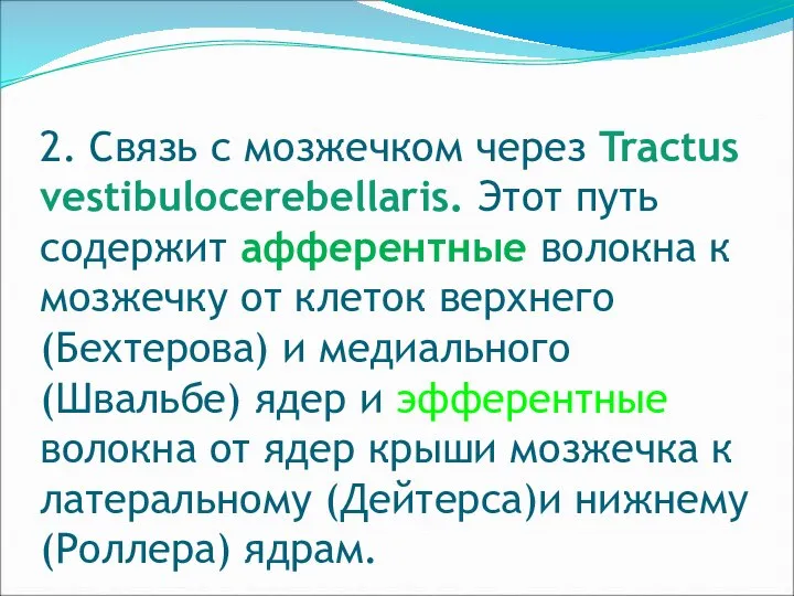 2. Связь с мозжечком через Tractus vestibulocerebellaris. Этот путь содержит афферентные