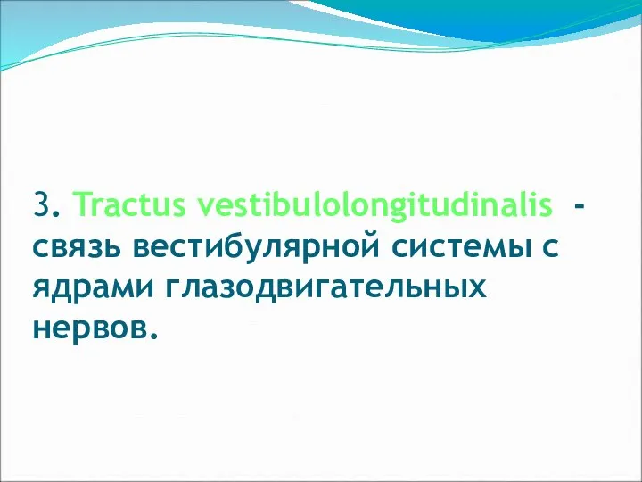 3. Tractus vestibulolongitudinalis - связь вестибулярной системы с ядрами глазодвигательных нервов.