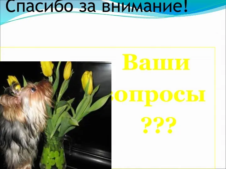 Спасибо за внимание! Ваши вопросы ???